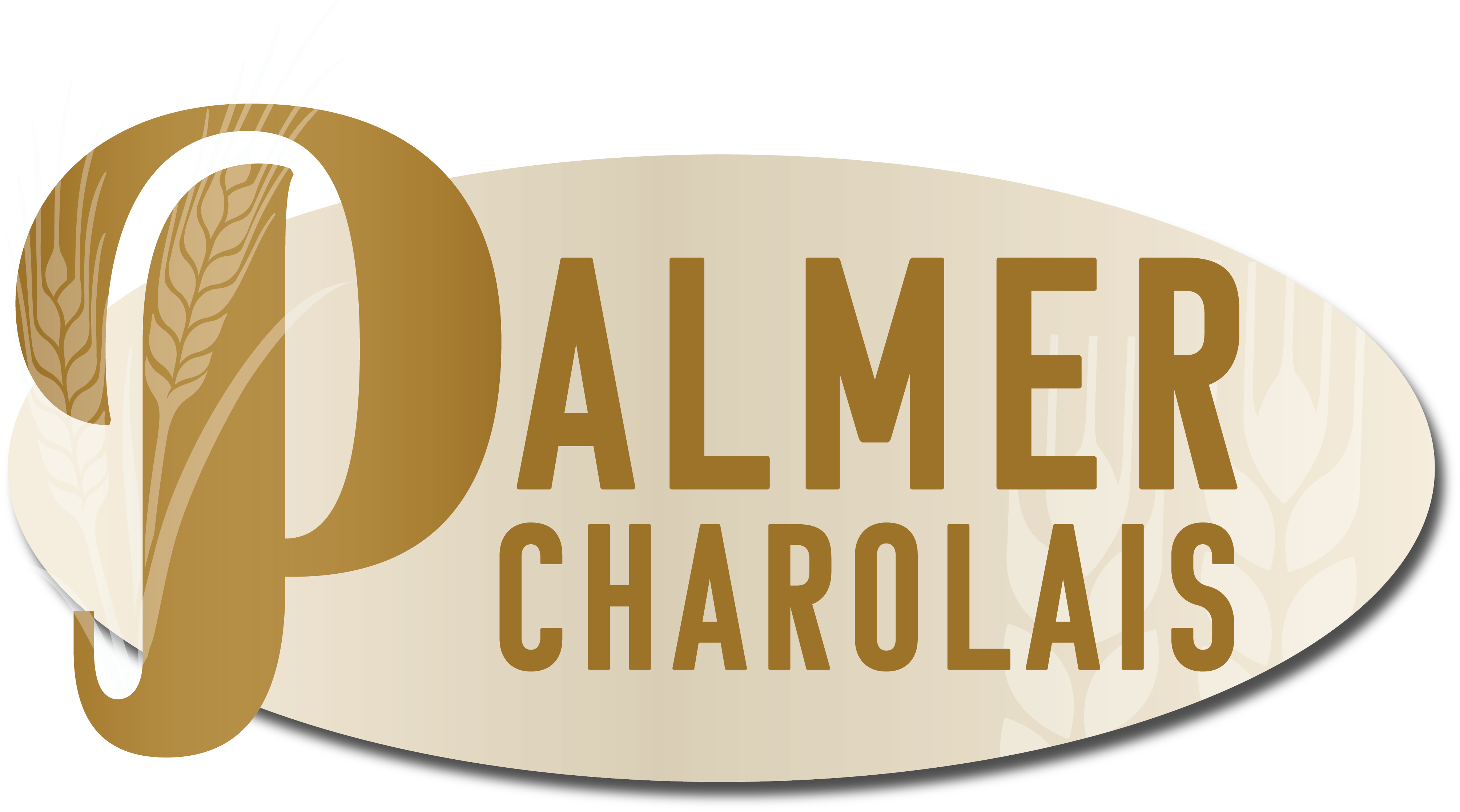 Palmer Logo